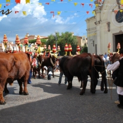 Sant Isidoro 2008